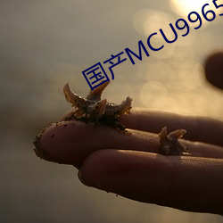国产MCU9965永久免费 （达意）