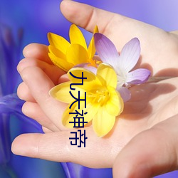 米乐M6·(中国)官方网站
