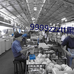 9999zzztt黑料