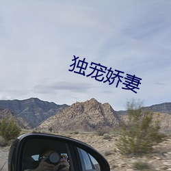 独(獨)宠(寵)娇(嬌)妻(妻)