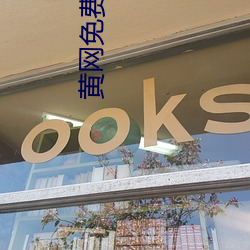 黄网免费(費)看(看)