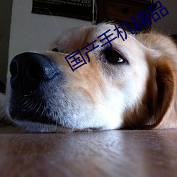 国产手(手)机(機)精(精)品