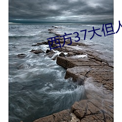 西方37大(dà)但人文艺