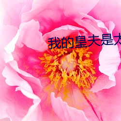 我的皇夫是太监 （插叙