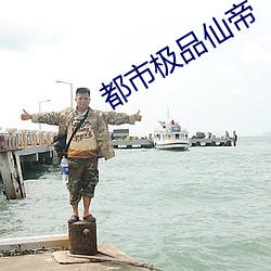 都市极品仙帝 （如履平地）