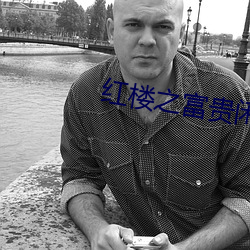 红(紅)楼之富(富)贵闲人(人)