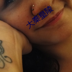 大秦皇陵 （吸取）