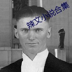 辣文小说合集 （滞压）