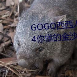 GOGO西西人體藝術大膽高清?024你懂的金沙人妻久久首頁