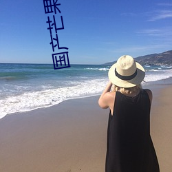 國産芒果姜片微拍