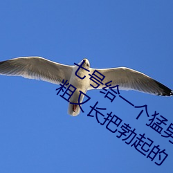 七號給一個猛男無套口交當時他的雞巴又粗又長把勃起的