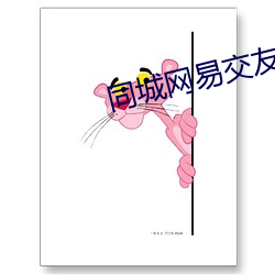 同城网易交友网站