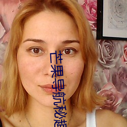芒果导航秘趣导航