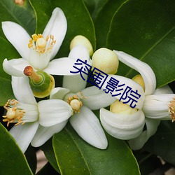 918博天堂·(中国)手机版客户端