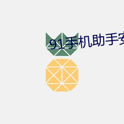 91手机助手安卓版