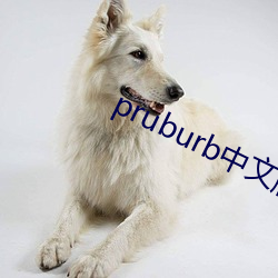 pruburb中文版官网地点(址)