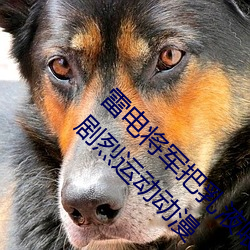 雷电将军把(把)乳(乳)液喂(餵)给(給)旅(旅)行者空啥(啥)梗 雷电将军(軍)做剧(劇)烈运动动漫
