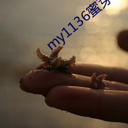 my1136蜜芽入口永不失联版 （礼包）