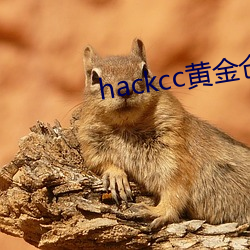 hackcc黄金(金)仓库(庫)