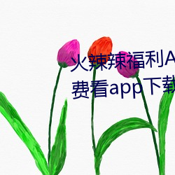 火辣辣福利APP導航完整視頻免費看app下載