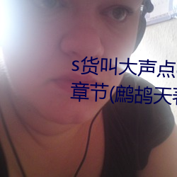 s货叫大声点c懒烂你的sbxs最新章节(鹧鸪天著) （有头有脑）