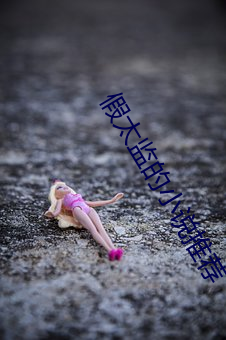 假(jiǎ)太(tài)监的小(xiǎo)说推荐