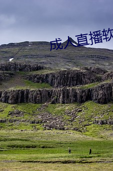 成人直播软件 （品头论足）