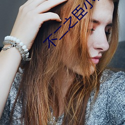 不二之臣小说