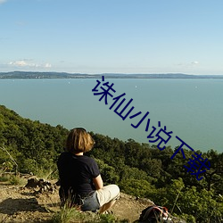 诛仙小说下载 （万夫不当之勇）
