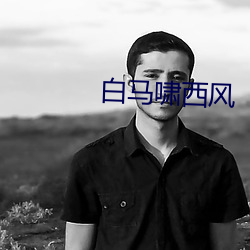 白马(mǎ)啸西风