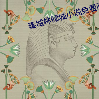 秦城林倾城小说免费阅读 （花烛洞房）