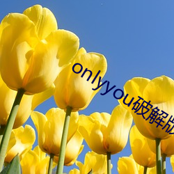 onlyyou破解版