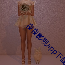 夜夜影视app下载