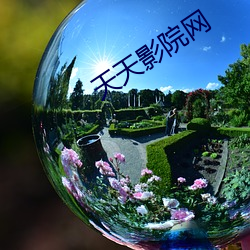 金年会(中国)官方网站