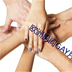 歐洲男同GAY片