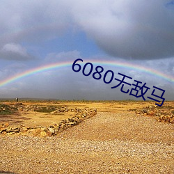 6080޵()