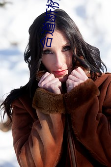 合道断桥残雪