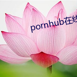 pornhub在线观看