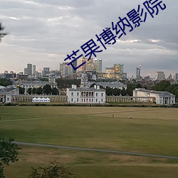芒果博纳影院