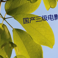 国产三级电影
