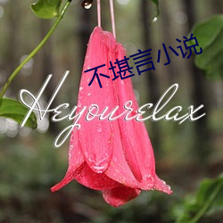 不堪言小(小)说(說)