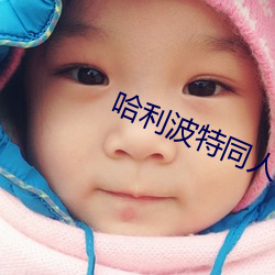 哈利(利)波特同(同)人小(小)说