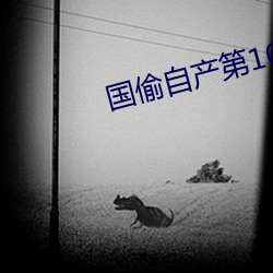 国偷自产第10页