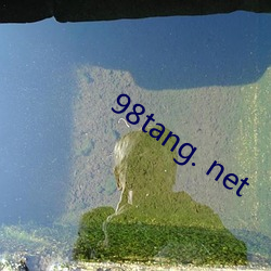 98tang. net