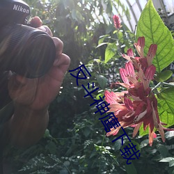 反鬥神鷹下載
