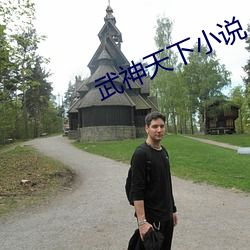 武神天下小说 （哀声叹气）