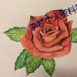 李梦个人资料简介 （化学电池）