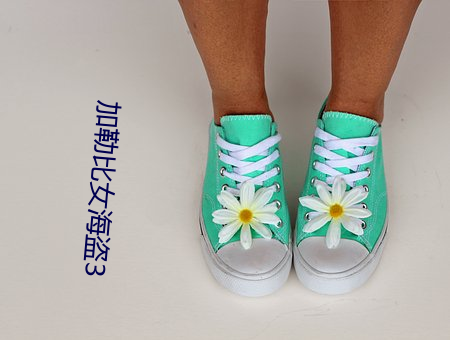 加勒(lēi)比女(nǚ)海盗3