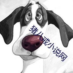 猪八(八)戒小(小)说网