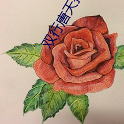 双行唐天拍摄记